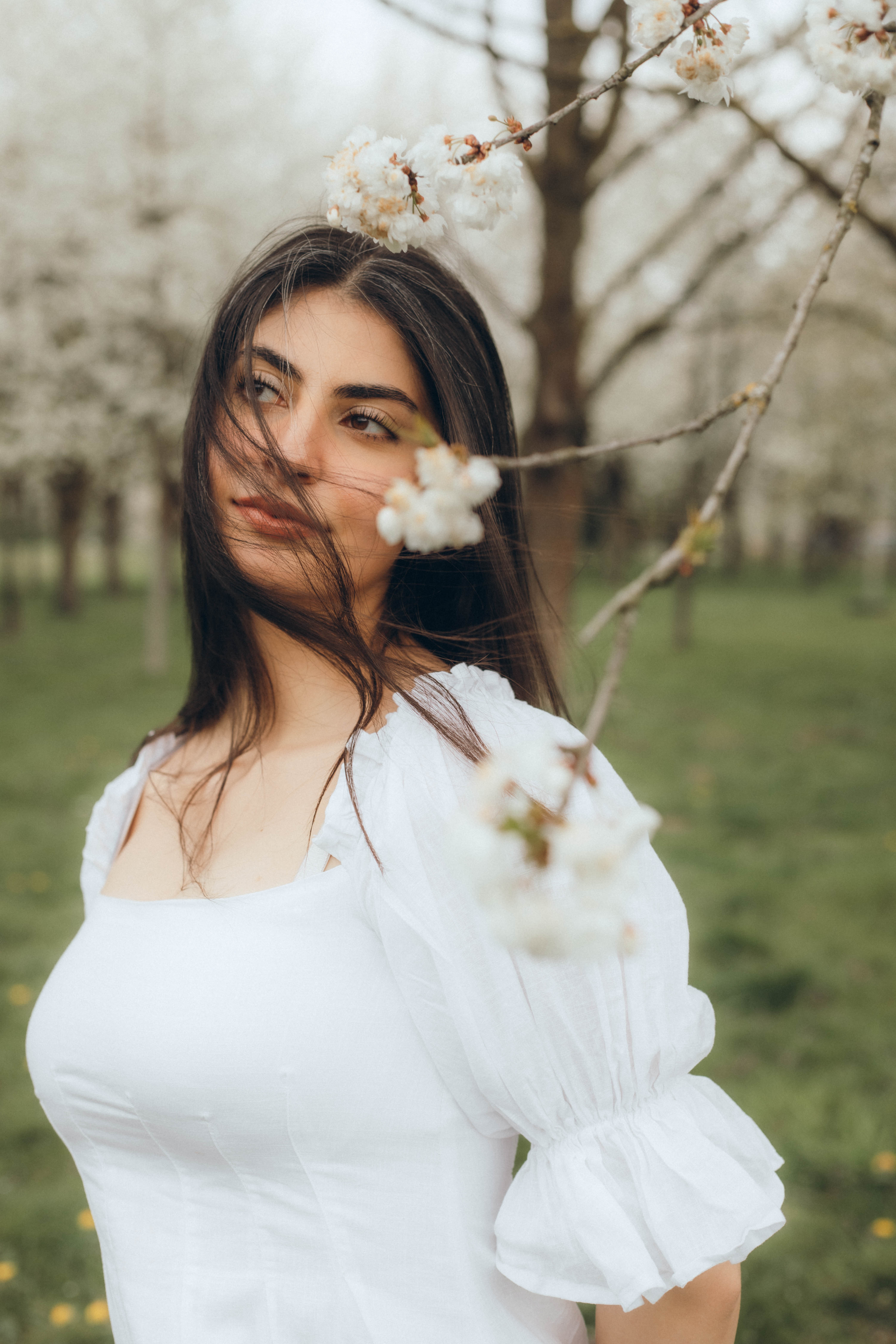 portrait Portrait
