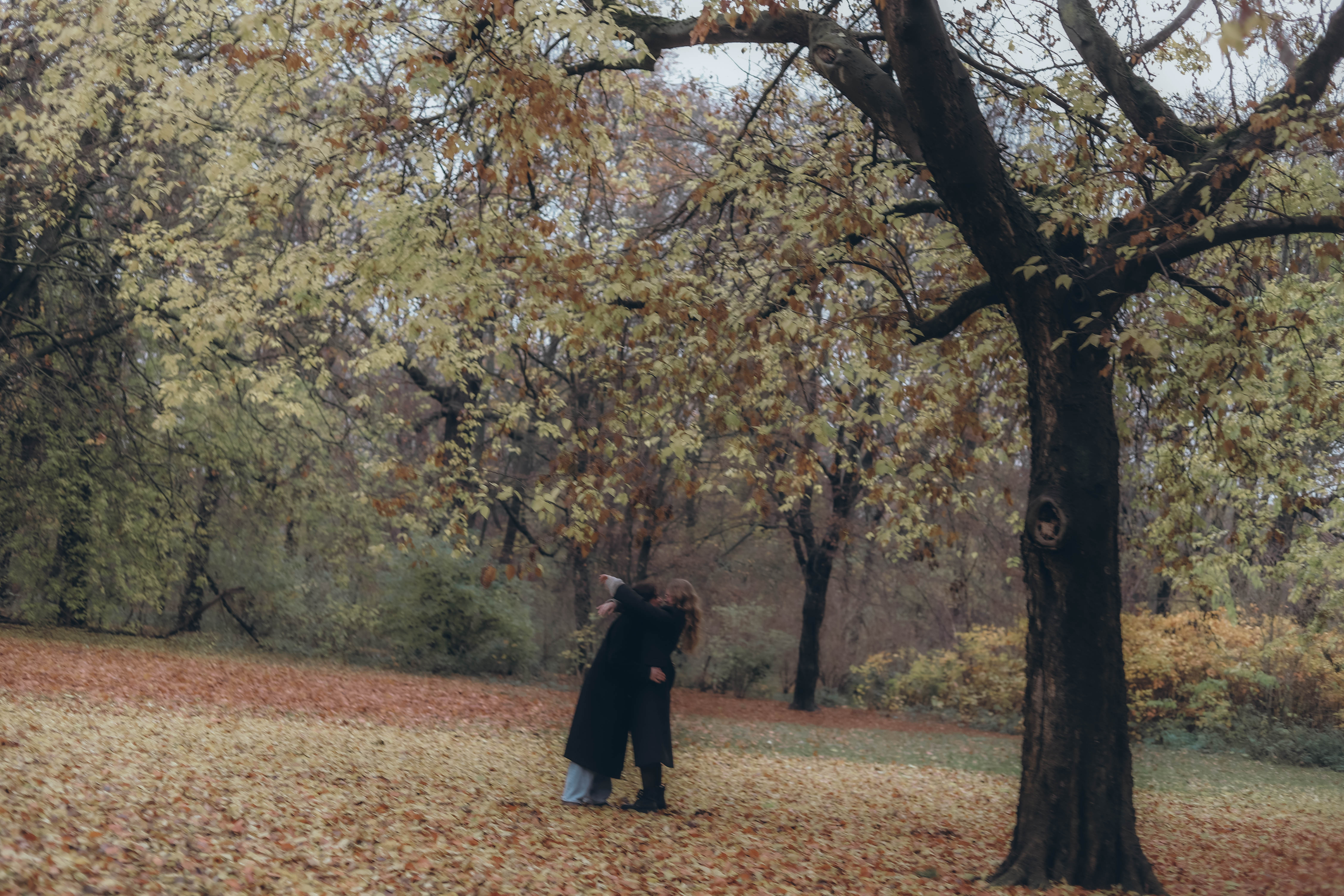 Umarmung im Herbstwald